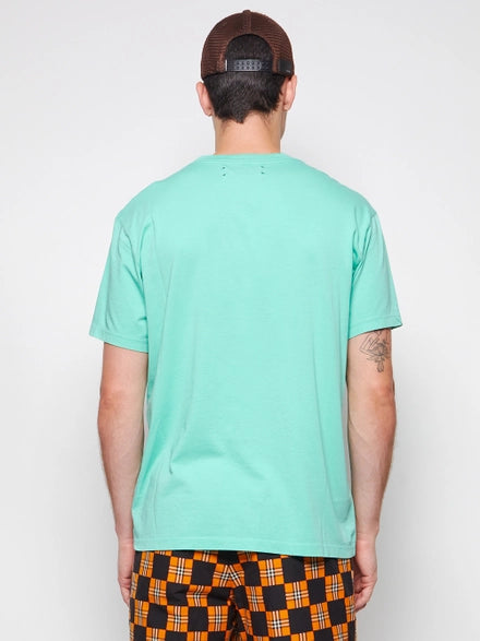 Amiri mint