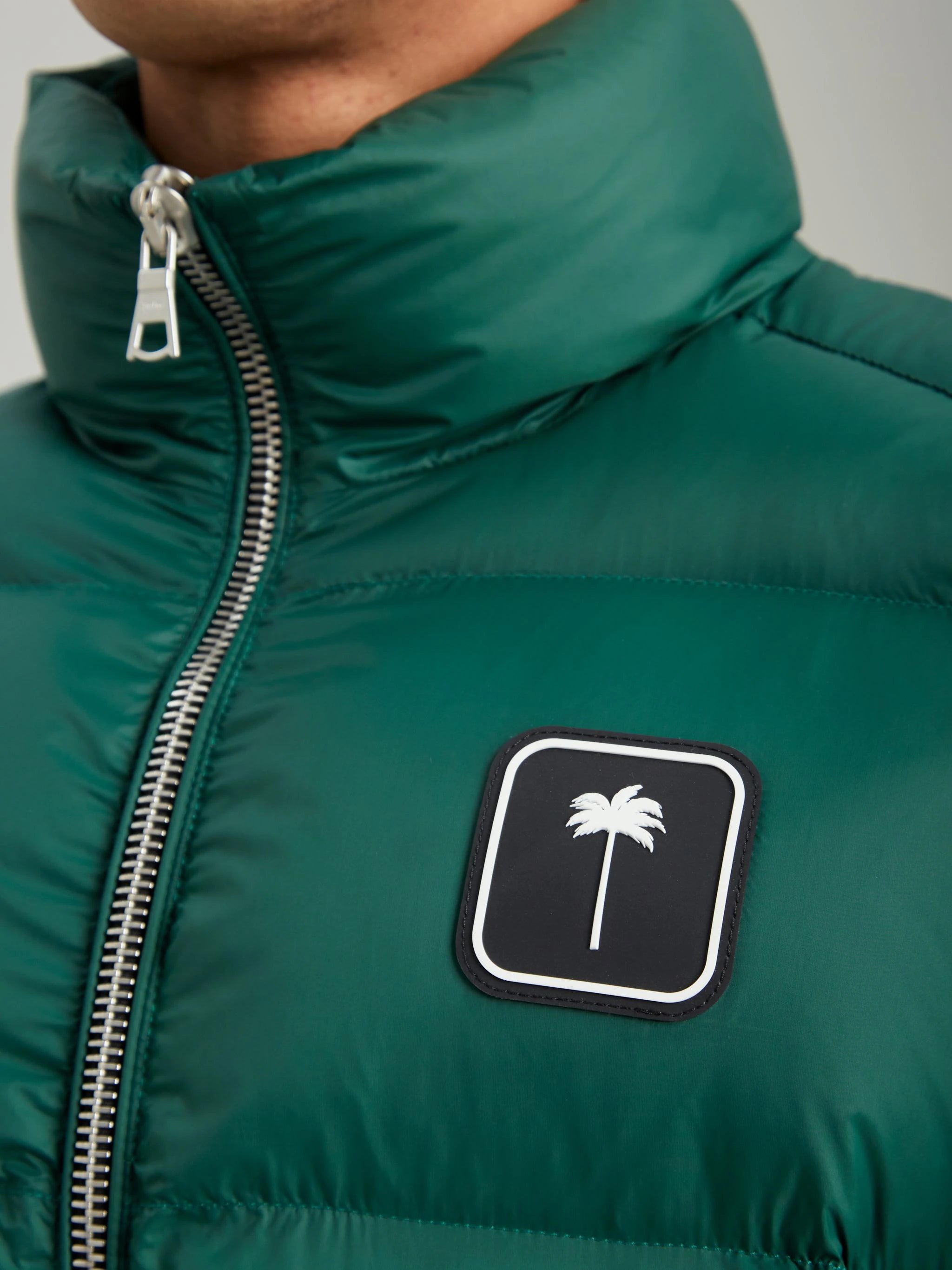 Palm angels green